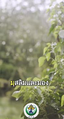 การนมัสการในศาสนาอิสลาม