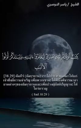 ซอด 29