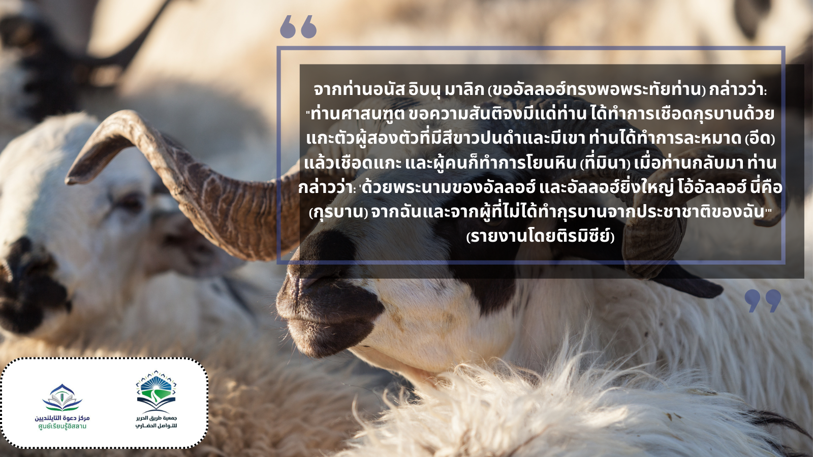 จากท่านอนัส อิบนุ มาลิก (ขออัลลอฮ์ทรงพอพระทัยท่าน) กล่าวว่า: