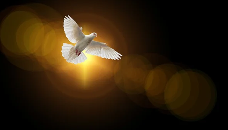 الصبر زينة المؤمن