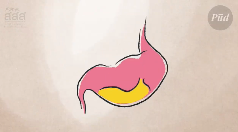 الإفطار الصحيح