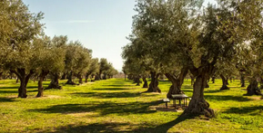 الابتلاء والرضا بالله