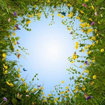 رحمة الله لا تنتهي