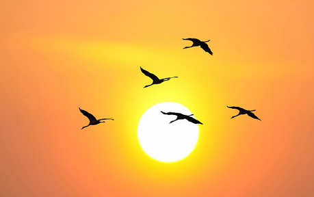 หากหัวใจของคุณเติบโตมาพร้อมกับอิสลาม