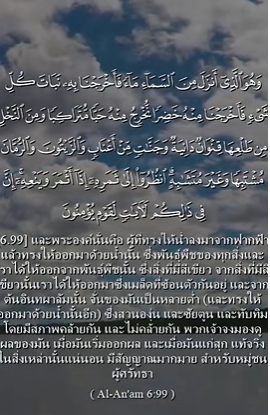 video title