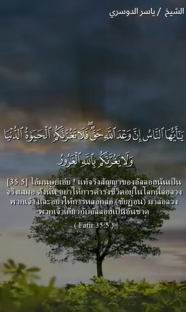 سورة فاطر: 5-6