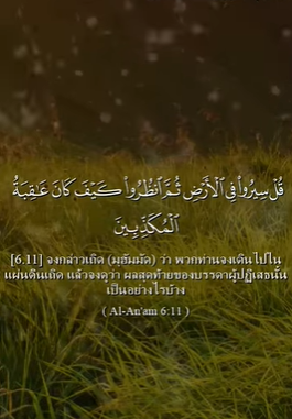 سورة الأنعام: 11