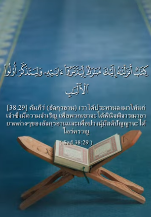 ซอด: 29