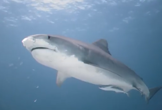 إثبات وجود الله حقيقةً