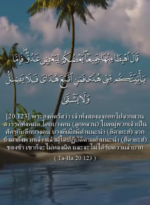 ฏอฮา: 123 -125
