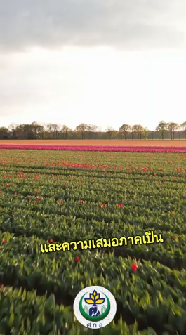 ความยุติธรรมและความเสมอภาคในศาสนาอิสลาม