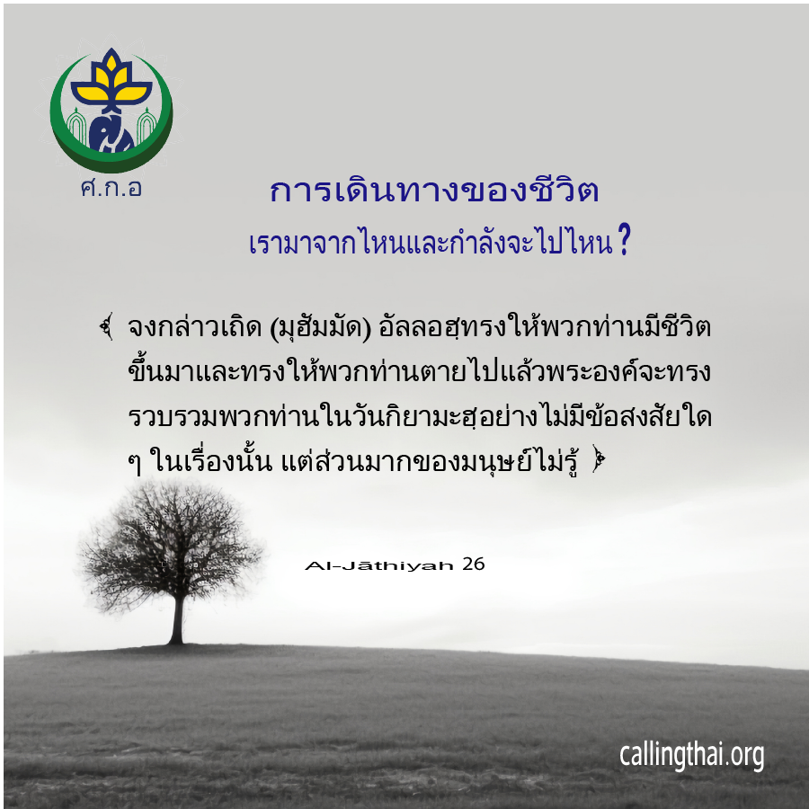 การเดินทางของชีวิต: เรามาจากไหนและกำลังจะไปไหน?