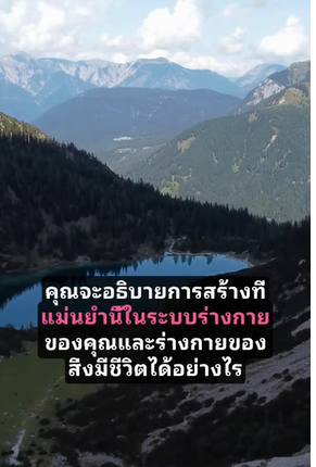 ใครสร้างฉัน และทำไม