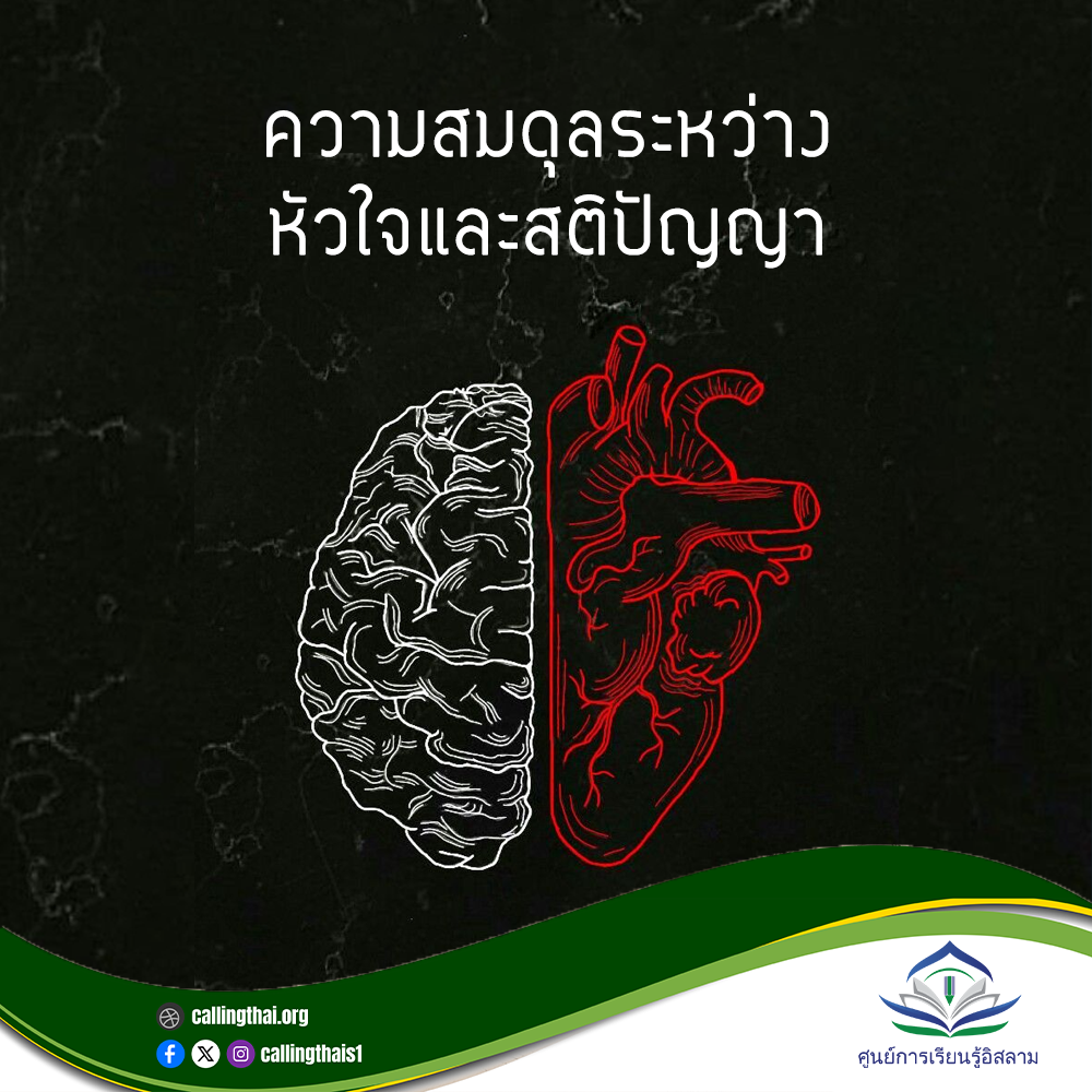 التوازن بين القلب والعقل